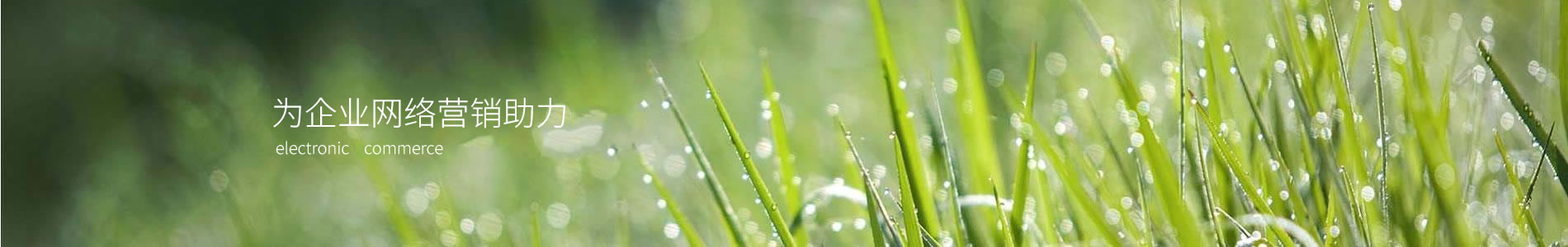 ݲǱ޹˾